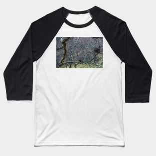 Thicket Baseball T-Shirt